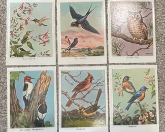 Vintage Bird Illustrations 