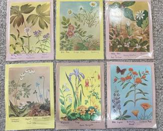 Vintage Botanical Prints Collection