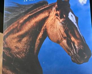 Horse Book