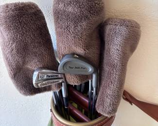 Dunlap 2400 Golf Club Set