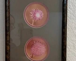 Signed Artwork by India Shanks