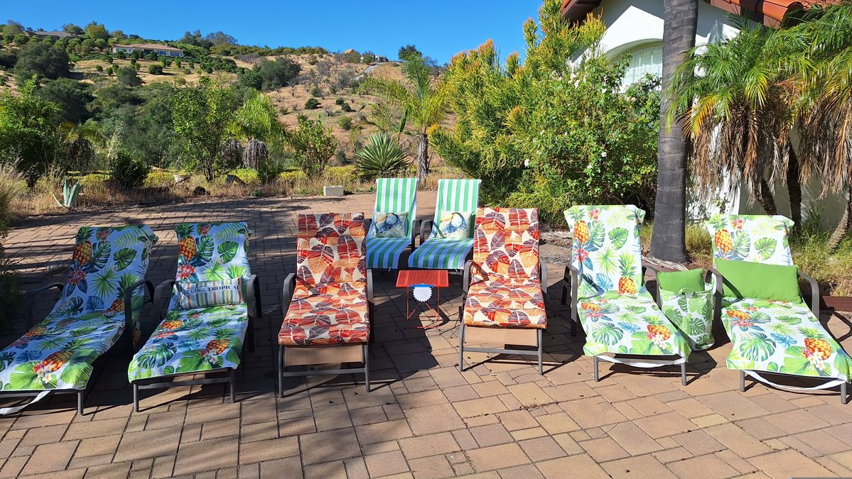 8 - lounge chairs & accessories $100 OBO