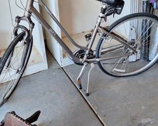 Giant Cypress DX W asking $200