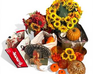 Autumn Mystery Lot w Small Dog Costumes