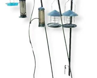 Bird Feeders Galore