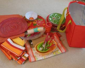 Picnic set complete NEW 