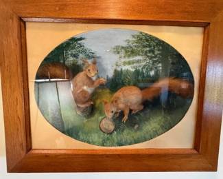 Framed "Squirrel" Taxidermy