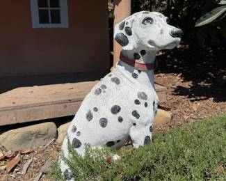 Dalmatian (close)