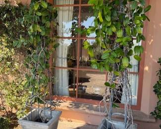 Pr. Tall Trellis Pots