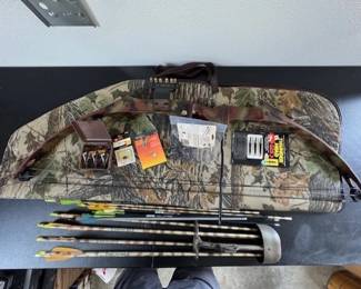 Sports Compound Bow and Arrows