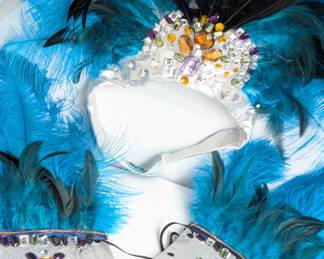 Closeup of Carnival / Mardi Gras costume pieces consisting of a feathered headpiece, collar, and pair of arm cuffs