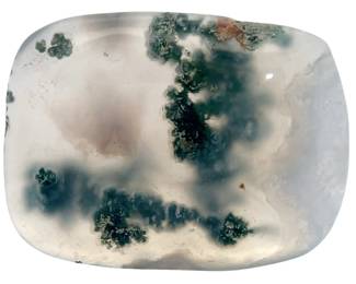 23.30 Carat Dendritic Agate