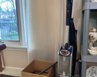 Shark vacuum