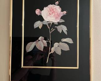 Framed Pink Rose Floral Print