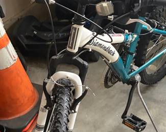 Diamondback Sorrento Mountain Bike