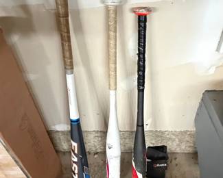 Baseball Bat Collection