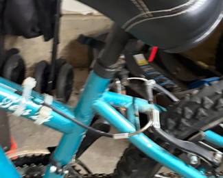 Diamondback Sorrento Mountain Bike