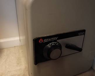Sentry combination home safe
