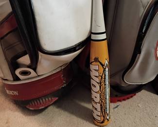 Easton aluminum baseball bat