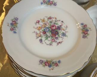 Bohemian Bouquet Czechoslovakian China Service for 12