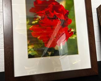 Framed Flower Photo