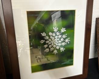 Framed Flower Photo