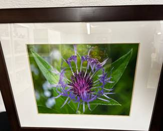 Framed Flower Photo