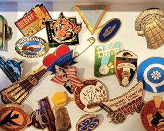 Check out this really neat pin collection!