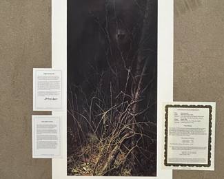 Lot #44 John Seerey Lester Dark Encounter Bear Print 215/3500 Signed Mill Pond Press