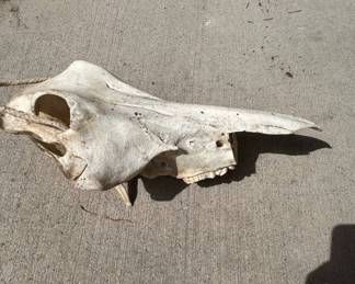 J Lot #228 Vintage Wisconsin Licensed Shooting Preserve No Trespassing Metal Sign Man Cave Decor