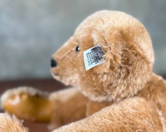 Steiff original teddy bear featuring brown mohair fur and a classic black stitched nose. Retains the trademark Steiff tag in the ear and button. In good condition with visible iconic craftsmanship.