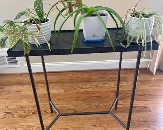 Nice variety of houseplants