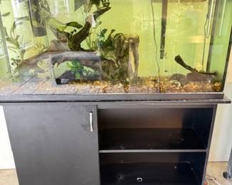 50 Gallon Aquarium on Cabinet and Accessories (Bubbling filter works great )