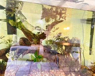 Close up of the 50 gallon Aquarium Tank