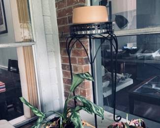 Metal Plant Stands