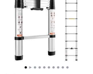 TELESCOPING LADDER