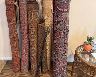 RUGS hiding in the attic