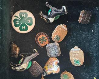 80's 4-H pins