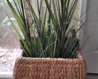 Seagrass Planter