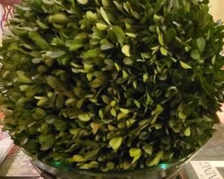 Boxwood Greenery