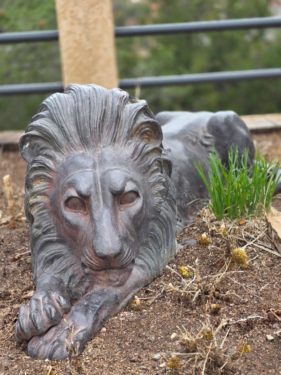 LARGE BRONZE LION