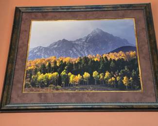 Beautiful Photograph by Local Photographer.