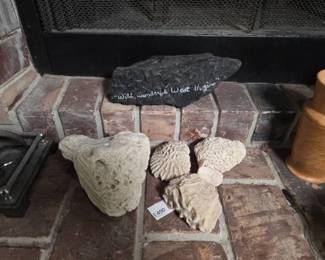 West Virginia Coal and Stony Corals