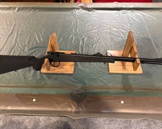 traditions 50 caliber alpha mag 209