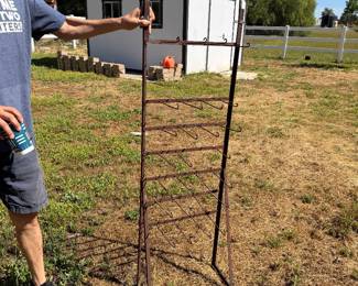 Antique wine bottle drying rack