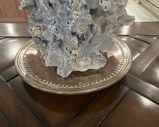 Blue Ridge Coral Specimen on Decorative Plate