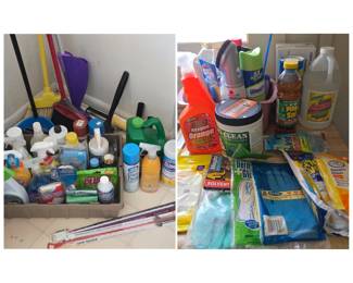 Lot #160 - HUGE Lot of Cleaning Supplies - Bathroom Cleaning, Mopping, Dusting & More