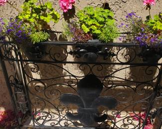 Metal planter 50" x 8" and 3 plants