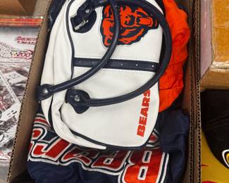 Chicago Bears Lot