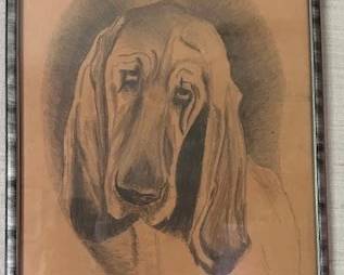Just an adorable charcoal drawing of a bloodhound.
